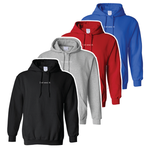Just Send It. Hoodies